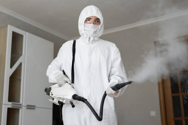 Best Commercial Mold Inspection  in Summerfield, MD